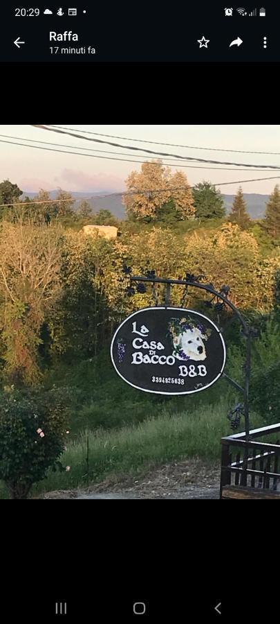 La Casa Di Bacco B&B Lerma Exteriér fotografie